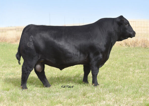 CCR Payweight 0327C