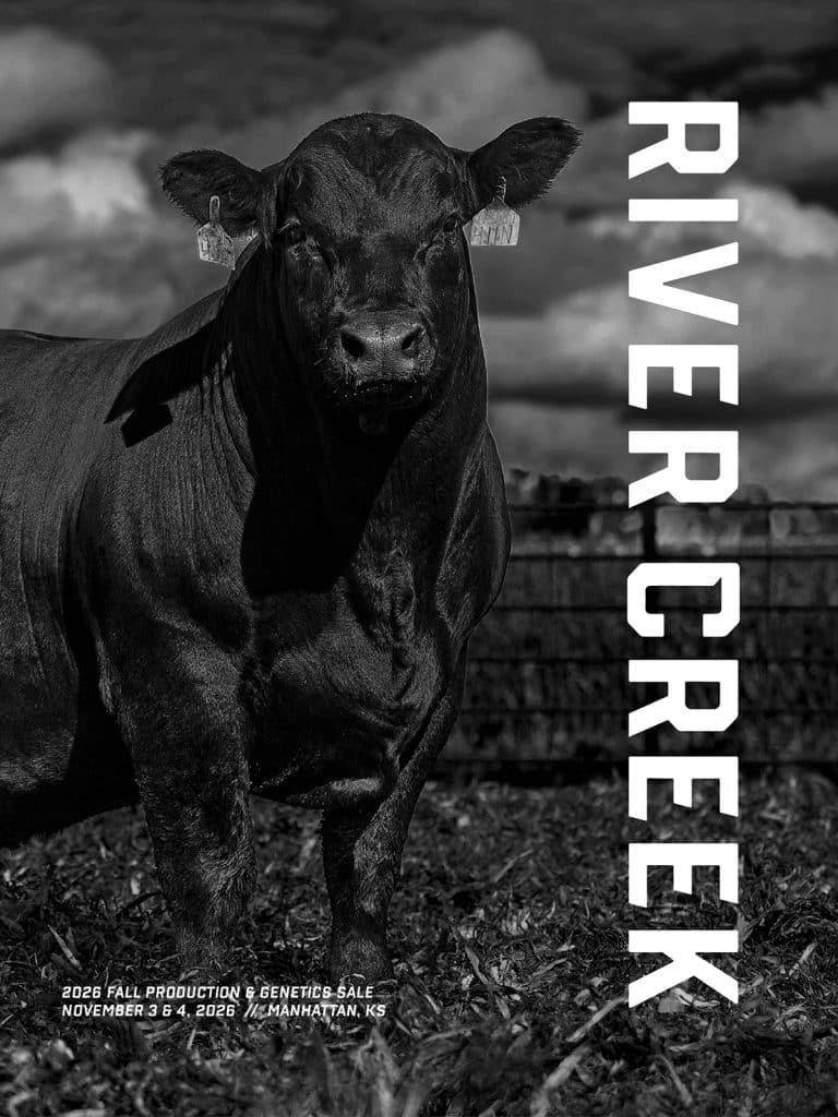 River Creek Farms - 2026 Fall Production Sale